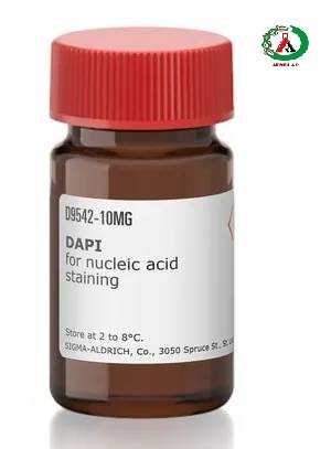 رنگ فلورسنت DAPI | برند Sigma-Aldrich